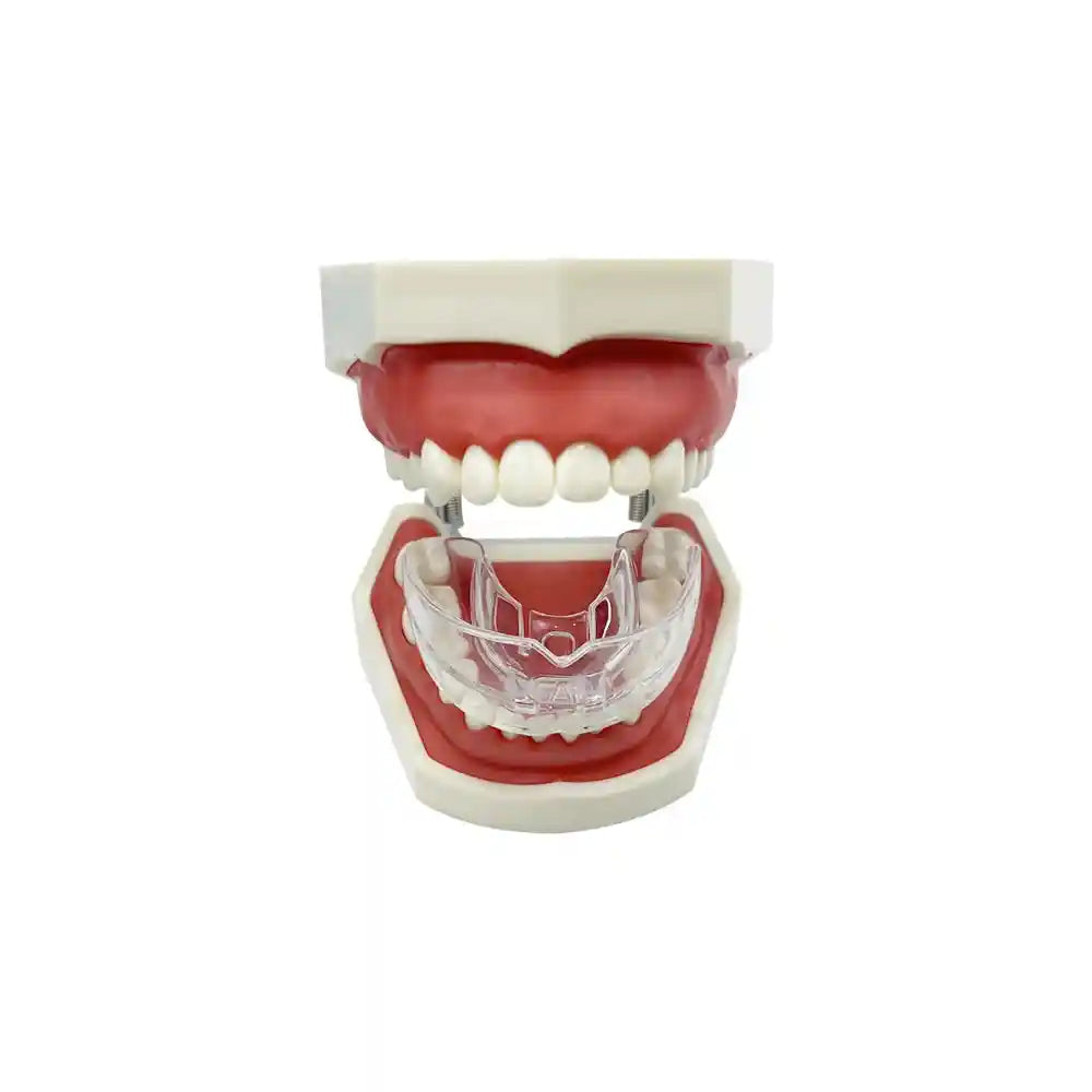Adult wearing transparent teeth trainer aligner for orthodontic treatment at home